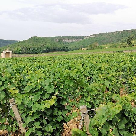 Gite Hautes Cotes De Nuits Curtil-Vergy 외부 사진