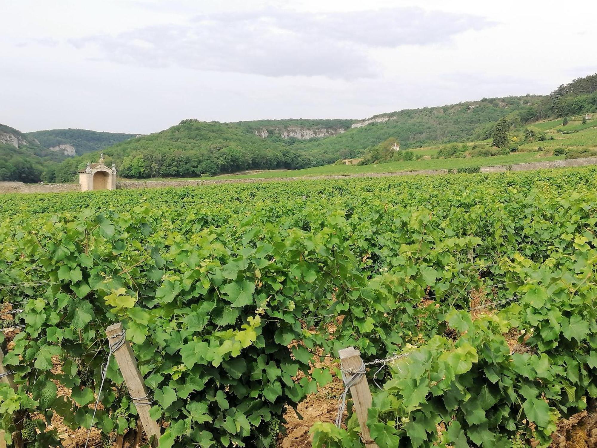 Gite Hautes Cotes De Nuits Curtil-Vergy 외부 사진